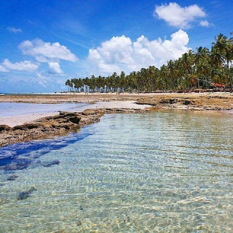 Eco Resort Praia Dos Carneiros By Canto Da Praia 外观 照片